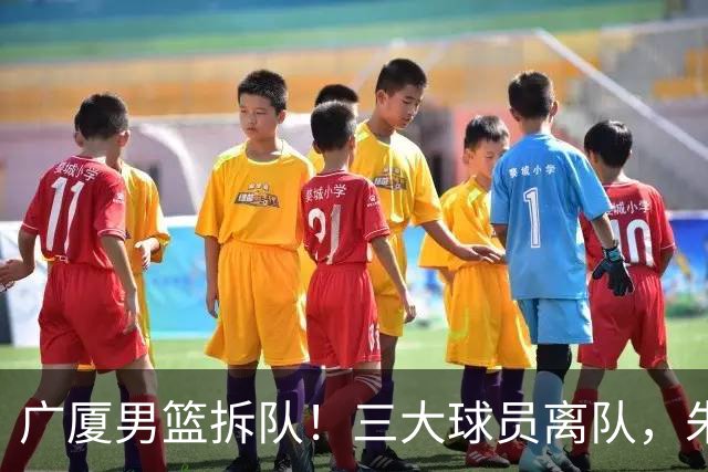 广厦男篮拆队！三大球员离队，朱俊龙确定留队，胡金秋是否离队待定，孙铭徽无队报价