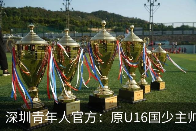 深圳青年人官方：原U16国少主帅大卫出任球队第一助理教练
